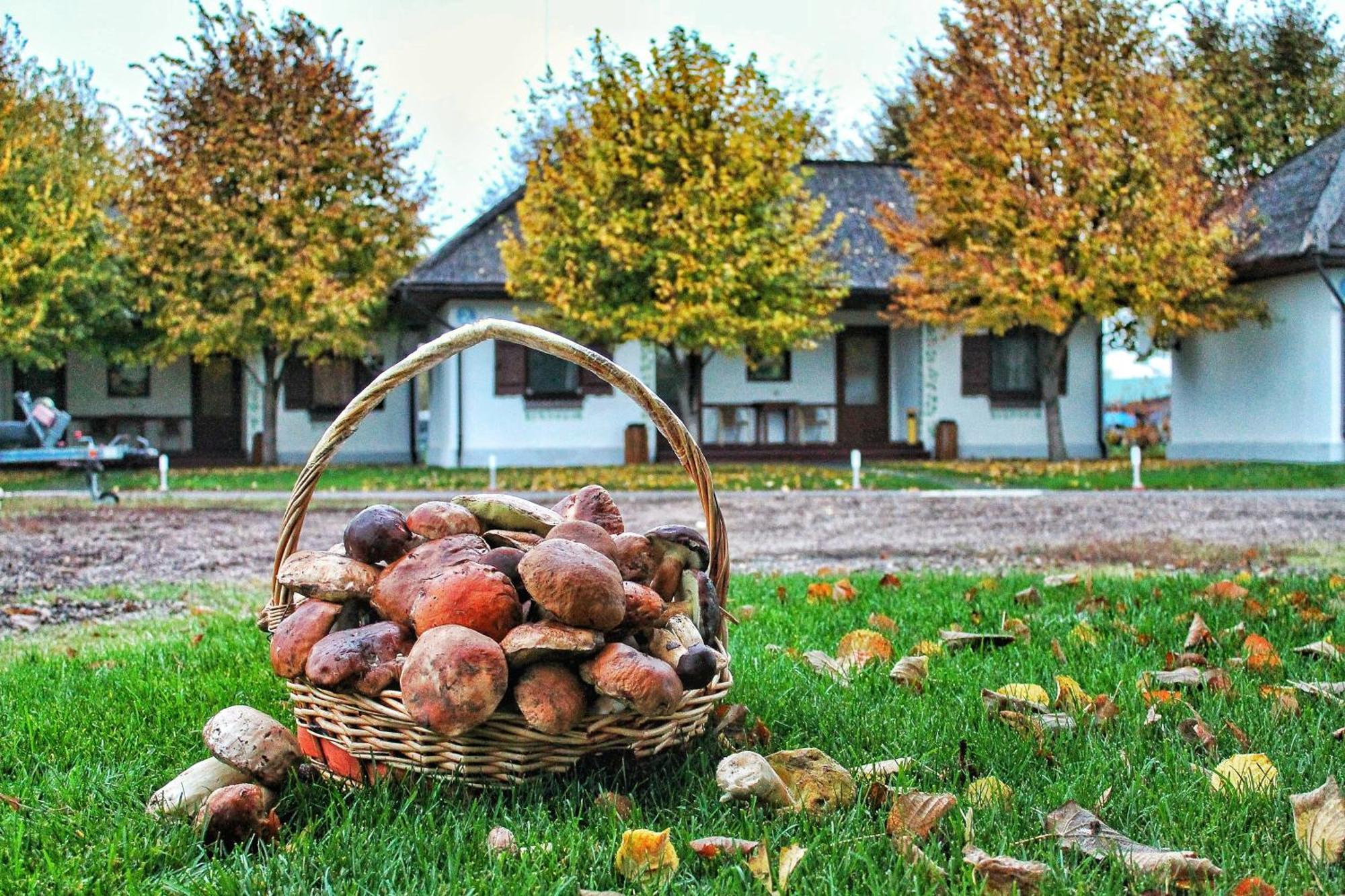 Bereg Holiday Park Svetlogorskoye Esterno foto