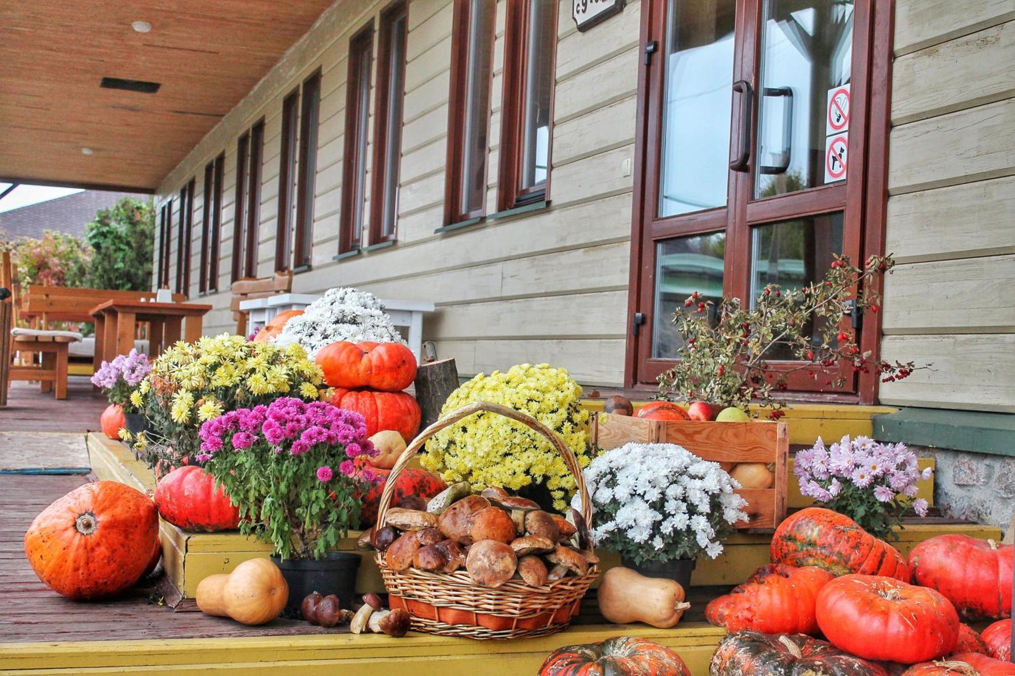 Bereg Holiday Park Svetlogorskoye Esterno foto